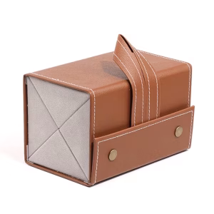 Sunglasses Storage
